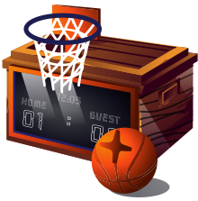 Basketball Case